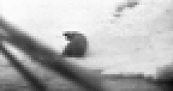 Figure 6. Forbidden Quest: The "decisive moment" as the polar bear is shot.