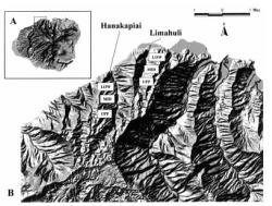 Figure 1. A. Island of Kaua'i, showing regional location of study streams on northern Kaua'i. B. Proximate location of Hanakāpī'ai and Limahuli Streams and generalized collecting areas in lower (low), middle (mid), and upper (upp) elevations along the stream continuum.