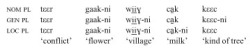 Table 12. Plural suffixation patterns: none are dependent on stem alternation.