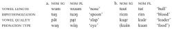 Table 14. Reversible stem alternations for number.