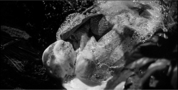 Figure 1. Miles Bennell (Kevin McCarthy) discovers the replicants oozing forth from the pods (Invasion of the Body Snatchers, 1956).