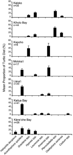 Figure 4. Diet of green turtles in the Hawaiian Islands grouped by site (n = 191). Diet items contributing an average relative mean volume &gt;1% of diet at each location are shown.