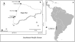 Figure 1. (A) Representation of the Southeast Pacific Ocean with an approximate location of Rapa Nui (Easter Island; 27° S, 109° W), and (B) sampling locations around Rapa Nui, with negative (white circles) and positive (gray circles) stations where cephalopod paralarvae were collected.
