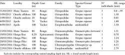Table 1. Early life history stages of cephalopods collected around Rapa Nui (Easter Island; 27° S; 109° W) and at the nearby Apolo Seamount (~13 km southwest from Easter Island)