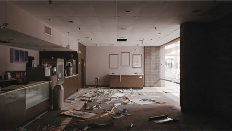 Figure 9. Shots allude to the institution and practice of cinema in Homo Sapiens.