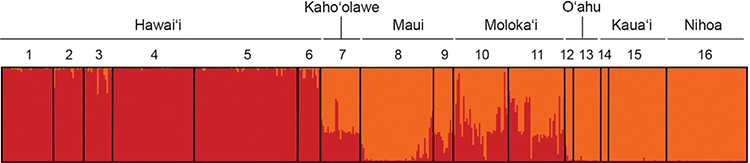 Figure 3. Structure graph for the most likely number of clusters of Hawaiian Sesbania according to the ΔK method (K = 2). Individuals are presented as thin vertical lines, and colors indicate the degree of membership of each individual in each of 2 genetic clusters (red and orange). Blak lines distinguish populations: 1. Kīpuka Nēnē–Hilina pali; 2. Pepeiau–Kukalau‘ula pali; 3. Kamo‘oali‘i–Kū‘ē‘ē; 4. ‘Apua point; 5. Kamilo point–Ka Lae; 6. Waiaka‘īlio; 7. Pu‘u Koa‘e; 8. Papanalahoa–Nākālele; 9. Pu‘u Pīmoe; 10. Kawela–Kamiloloa; 11. Mo‘omomi; 12. Kāohikaipu &amp; Mōkapu; 13. Ka‘ena point; 14. Mānā; 15. Polihale; 16. Nihoa. Island of origin for each population listed at top of figure.
