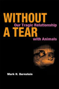 Without a Tear cover