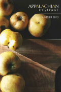 The Baffling cover